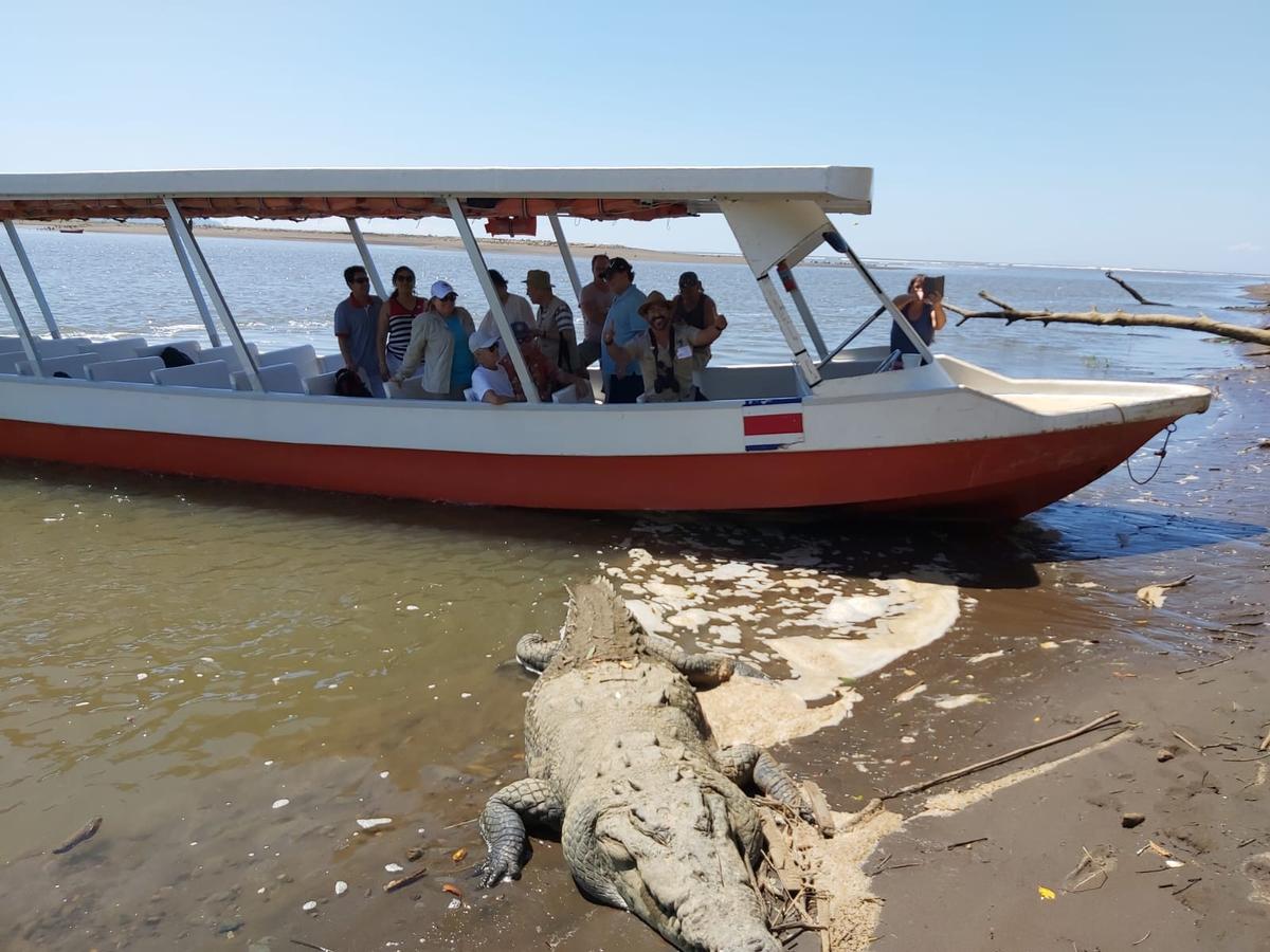 Foto de portada: Santuario de perezosos, safari de cocodrilos y mariposas